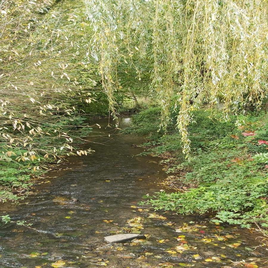 Gite La Riviera Wargnies-le-Grand Dış mekan fotoğraf